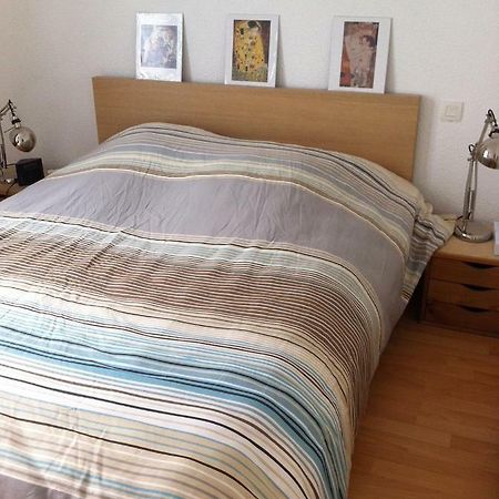 T3 3 Etoiles Hyper Centre Luchon Apartment Bagneres-de-Luchon ภายนอก รูปภาพ